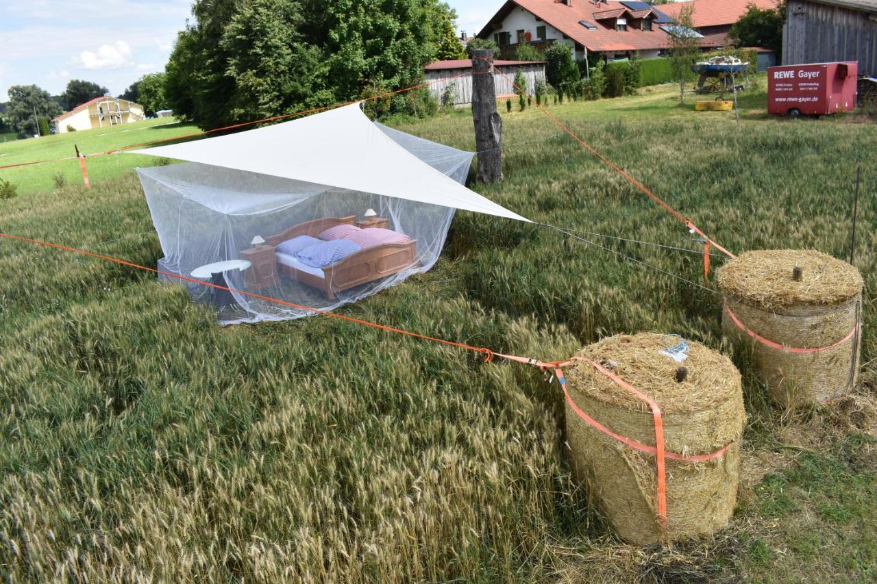 Open Air, Bett Im Kornfeld Otel Finning Dış mekan fotoğraf