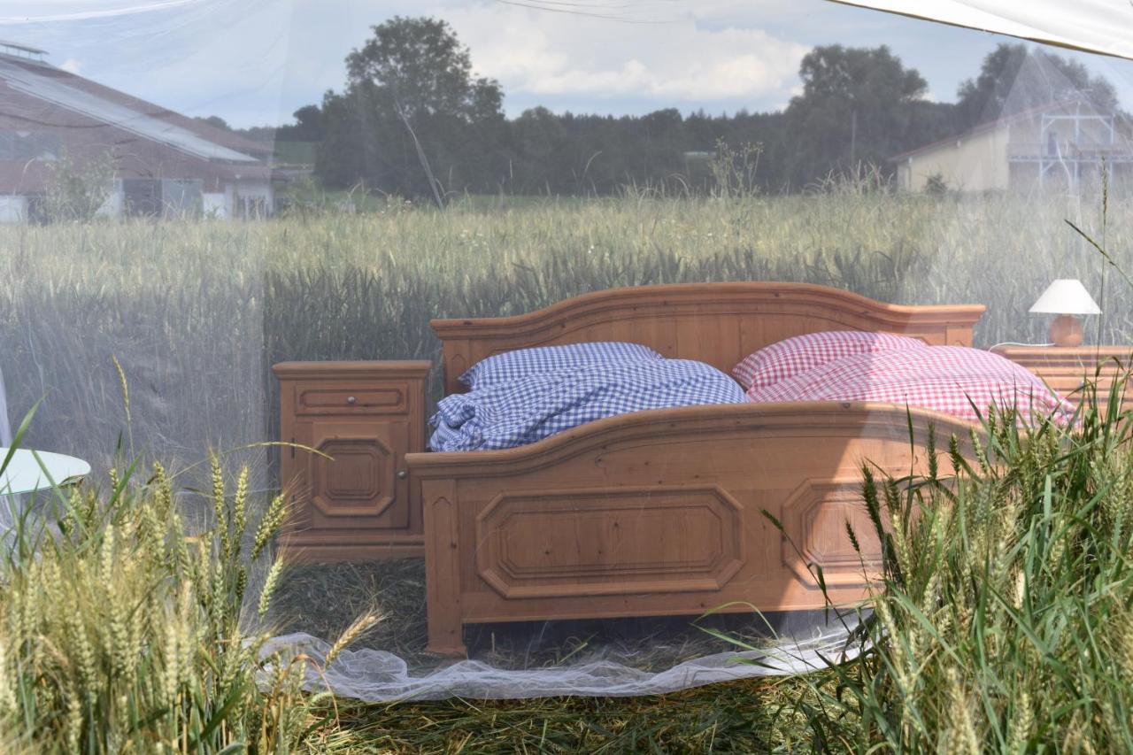 Open Air, Bett Im Kornfeld Otel Finning Dış mekan fotoğraf